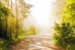 Grief and Loss – The Nature of Sorrow